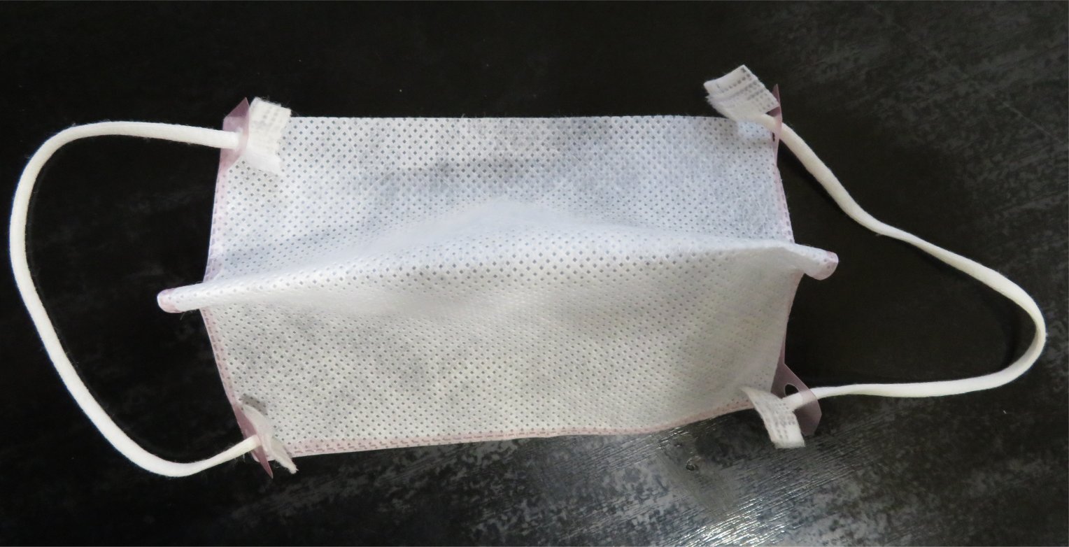 �T���v���ʐ^